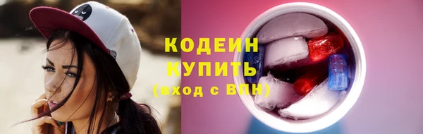 круглые Тайга